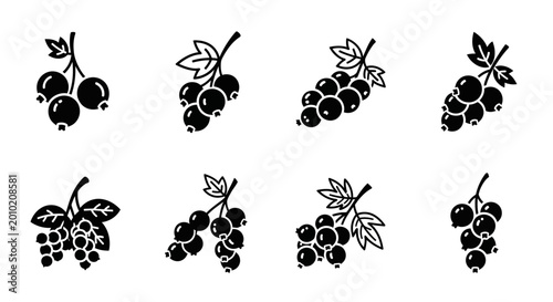 Blackcurrant Berry Icons: Fresh Fruit Clusters with Leaves, Isolated