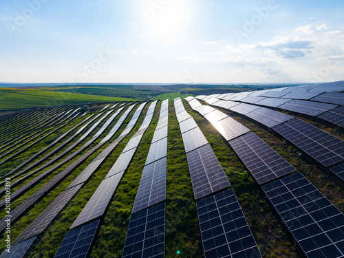 Solar panels cover a green hillside during a sunny day in a renewable energy project, showcasing modern technology in agriculture