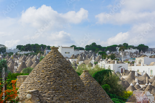 Bild auf Leinwand alberobello
