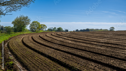 Bild auf Leinwand Ploughed Field