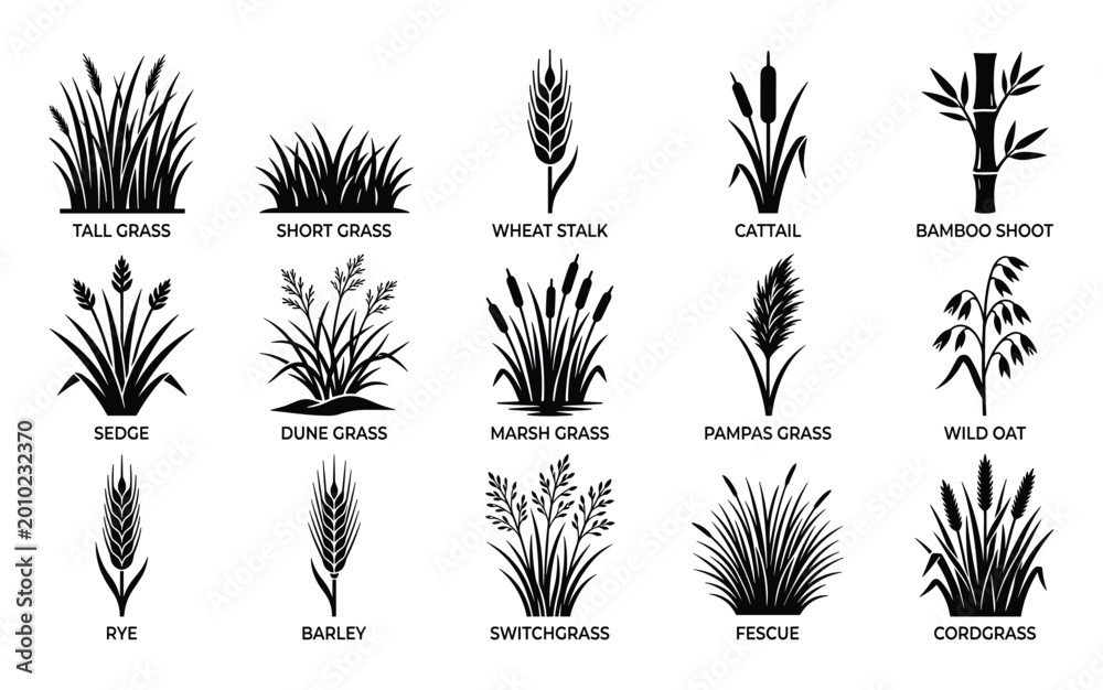 Fototapeta premium Collection of various black silhouette grass and plant icons is displayed