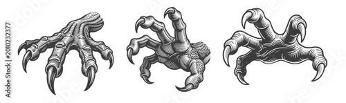 Powerful dragon or monster claws set, vintage monochrome engraving vector illustration for horror or fantasy design