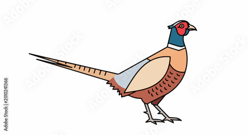 A stylized, colorful pheasant with a long tail stands on thin legs