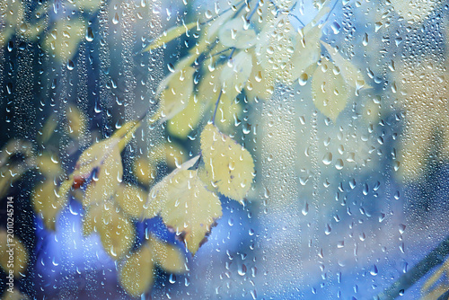 Wet glass, rainy weather, autumn background, rain in the park, blurred abstract backdrop
