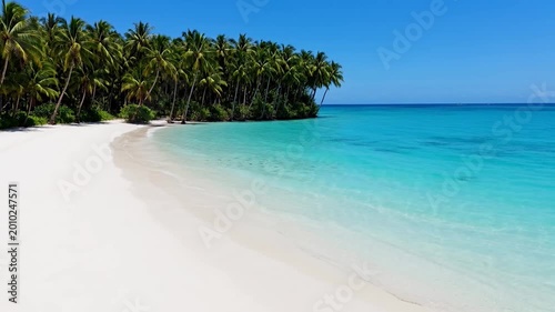 Tropical white sand beach with palm trees and clear turquoise water
