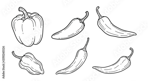 Photos Hand drawn pepper and chili set black and white sketch