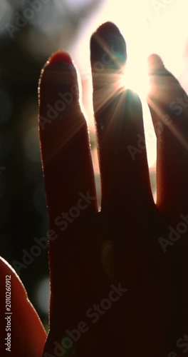 Female hand touching the sun - slow motion, sunlight passing through fingers, pine forest mountain at sunset, closeup shining sun and the branches of the trees, season travel nature idyllic