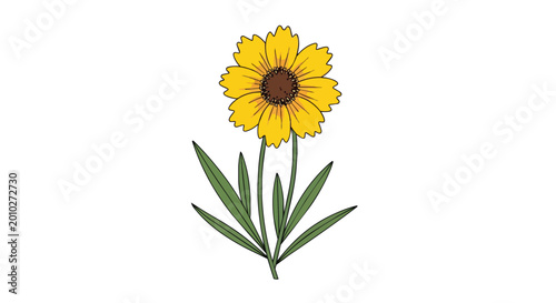 Single Yellow Coreopsis Flower Illustration with Green Leaves Isolated on White Background