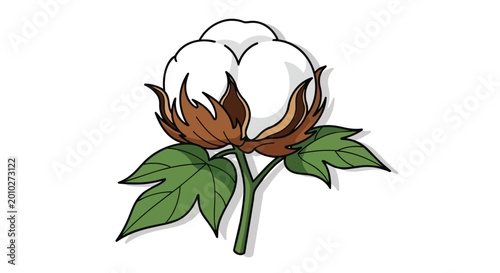 Cotton Boll Illustration on a Branch with Green Leaves for Natural Textile and Agriculture Concept