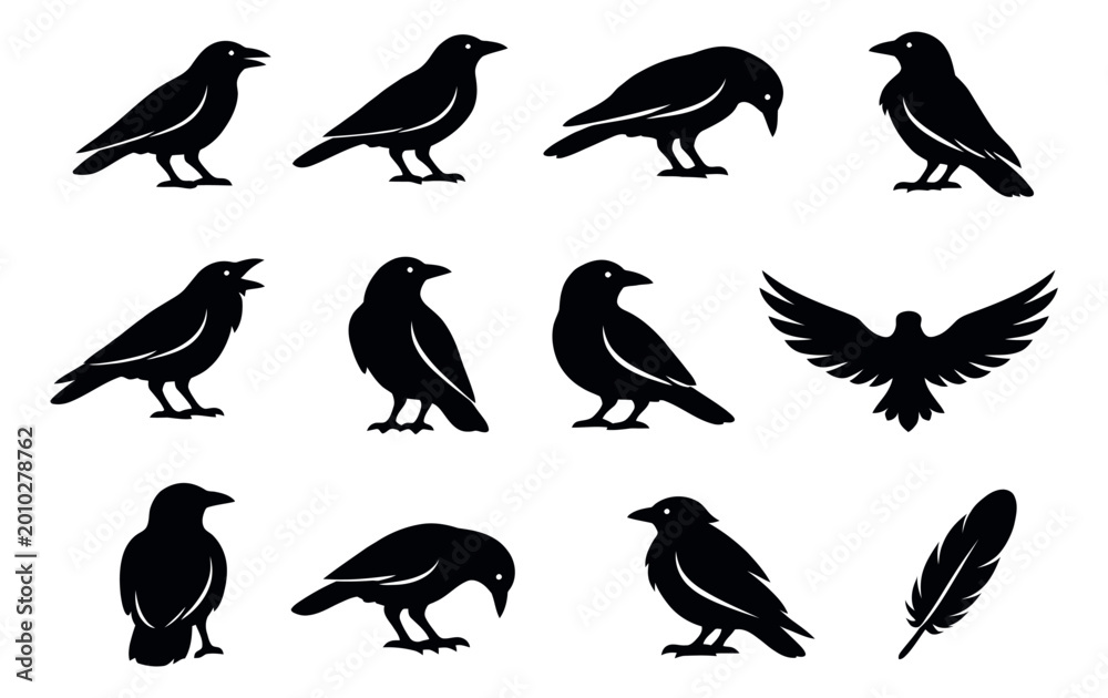 Fototapeta premium Black silhouette bird set featuring various crow and raven poses with a feather for wildlife themes