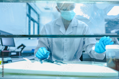 Photography Lab technician working behind glass sash of fume hood for safety