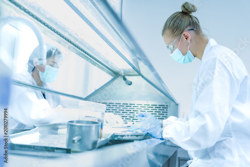 Photos Lab technician working behind glass sash of fume hood for safety