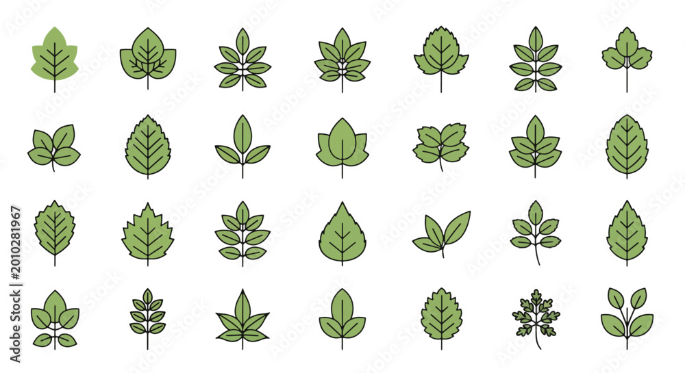 Fototapeta premium Collection of various green leaf shapes.