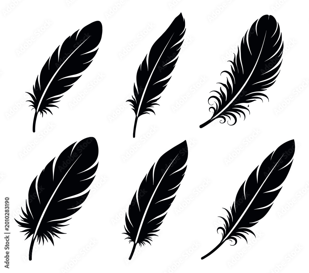 Obraz premium Stylized hand drawn feather set featuring various black plume illustrations for graphic design