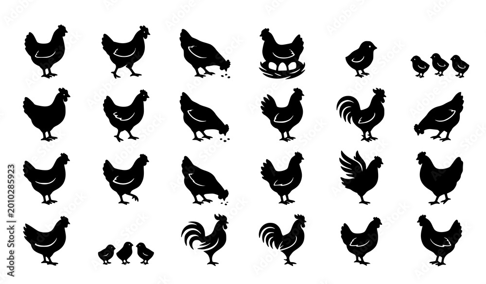 Fototapeta premium Hen chicken silhouette set farm poultry birds in different poses black vector collection isolated on white
