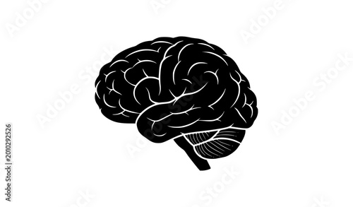 Foto human brain vector