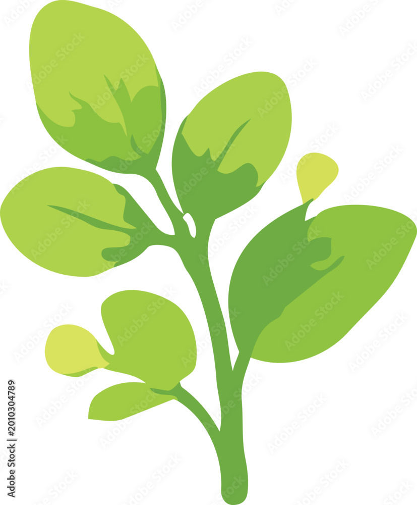 Obraz premium leaf
