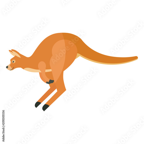 Photos Kangaroo ear tail leg jump flat
