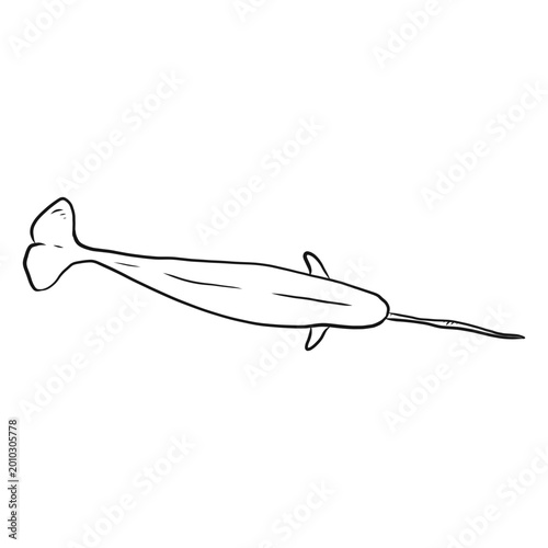 Εκτύπωση καμβά Narwhal tail tusk flipper sketch