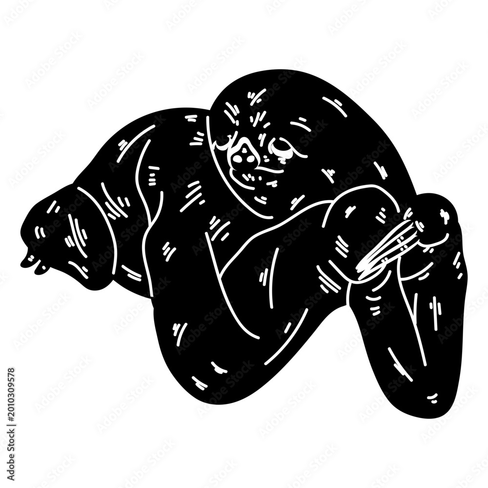 Obraz premium Sloth claw silhouette detail