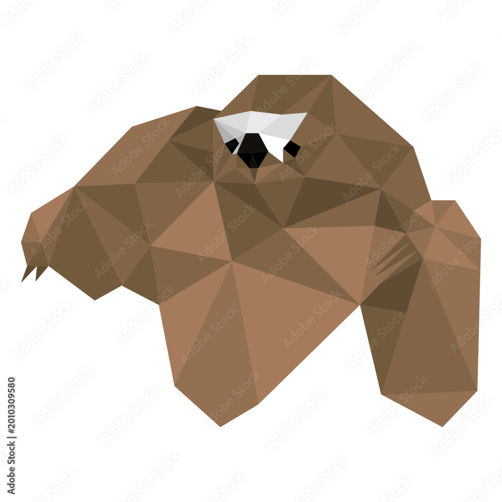 Obraz premium Sloth muzzle claw low poly