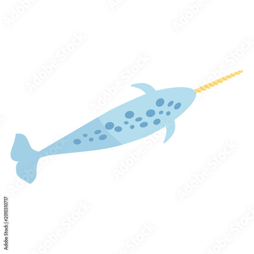 Fotografie Narwhal tail flipper tusk flat