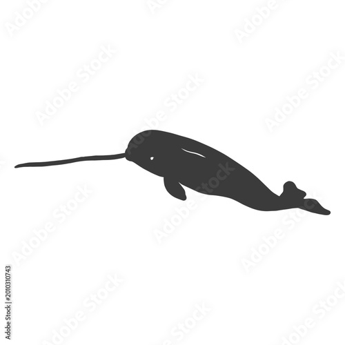 Fotografía Narwhal tusk flipper tail silhouette