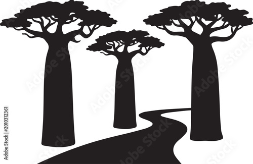 Fotografi Madagascar Baobab Avenue Landscape Tree Silhouettes