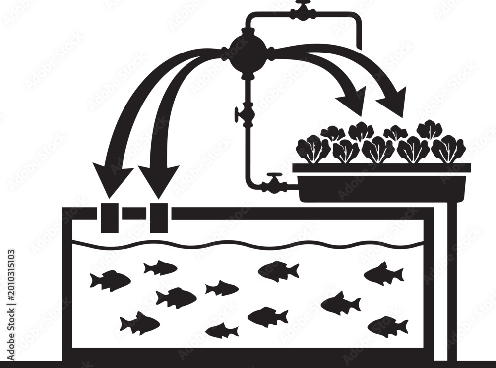 Fototapeta premium Aquaponics System Fish Plants Loop Silhouettes