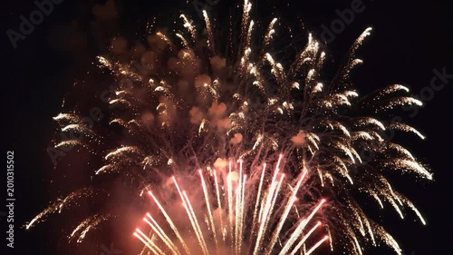Spectacular Fireworks Display Illuminating the Night Sky with Vibrant Colors 7.