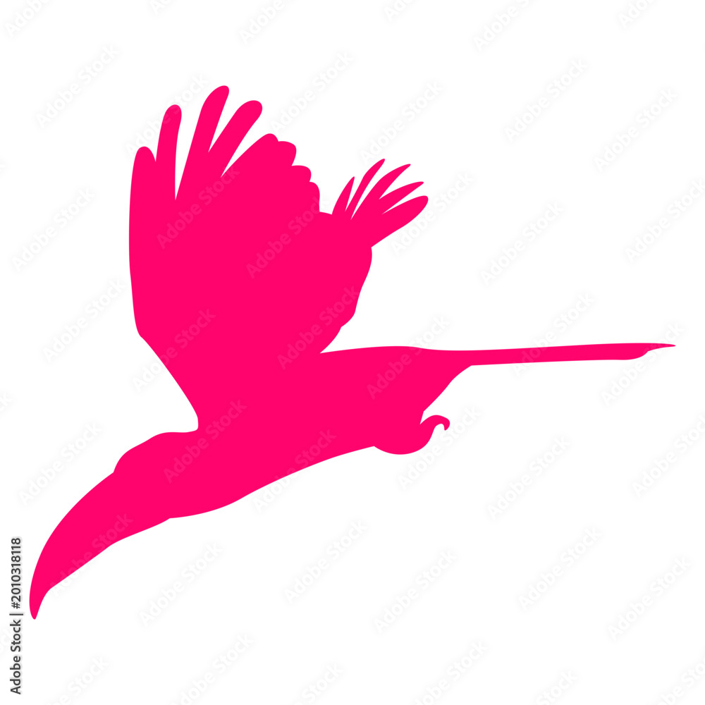 Fototapeta premium Flying toucan bird silhouette