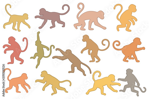 Photography Collection of Colorful Monkey in Various Poses Illustration