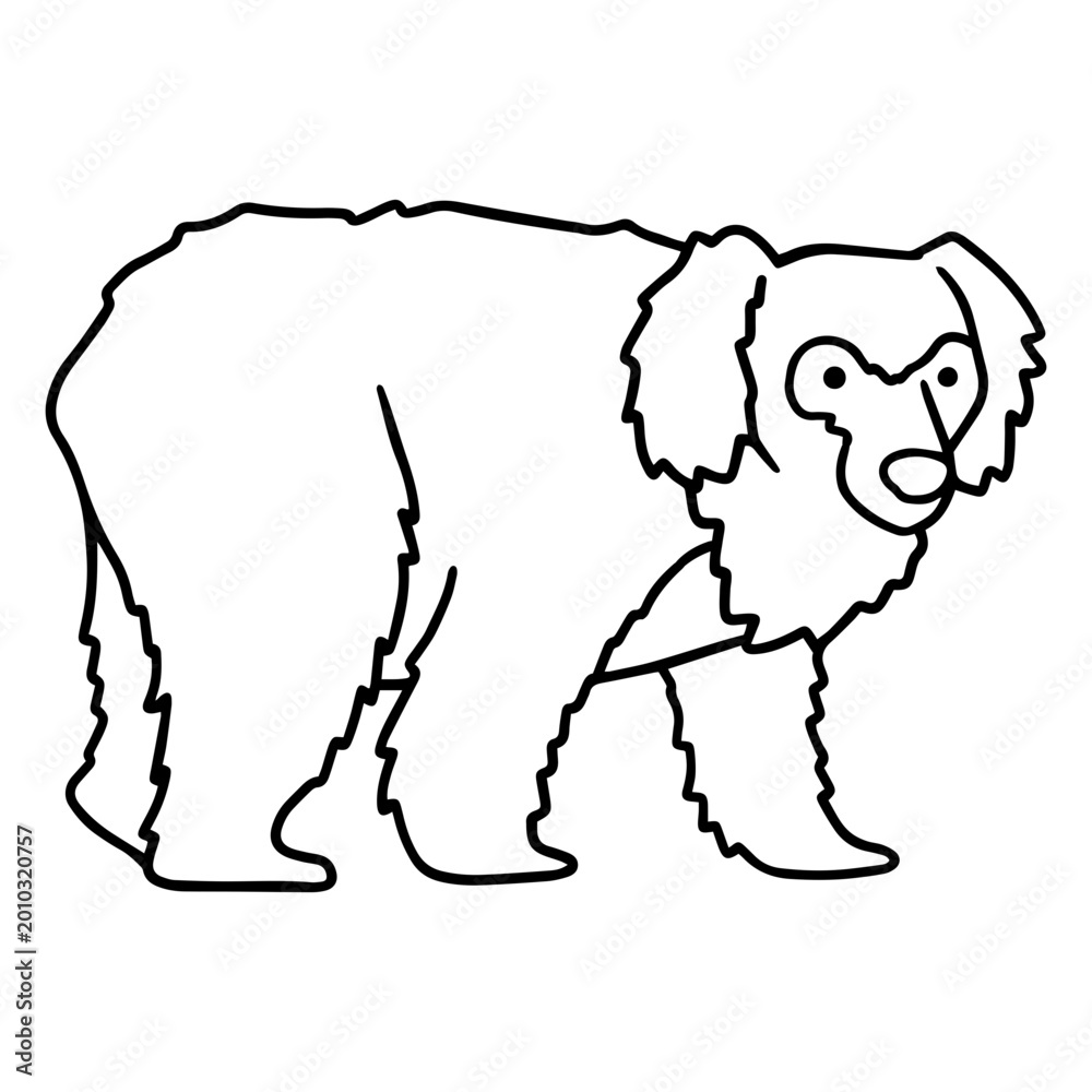 Obraz premium Sloth bear stroke