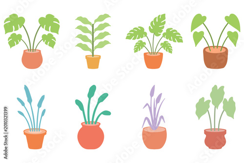 Collection of Potted Houseplants Illustration