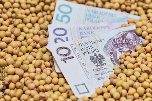 Polish Zloty banknotes placed on a bed of dried soybeans, symbolizing agricultural trade value