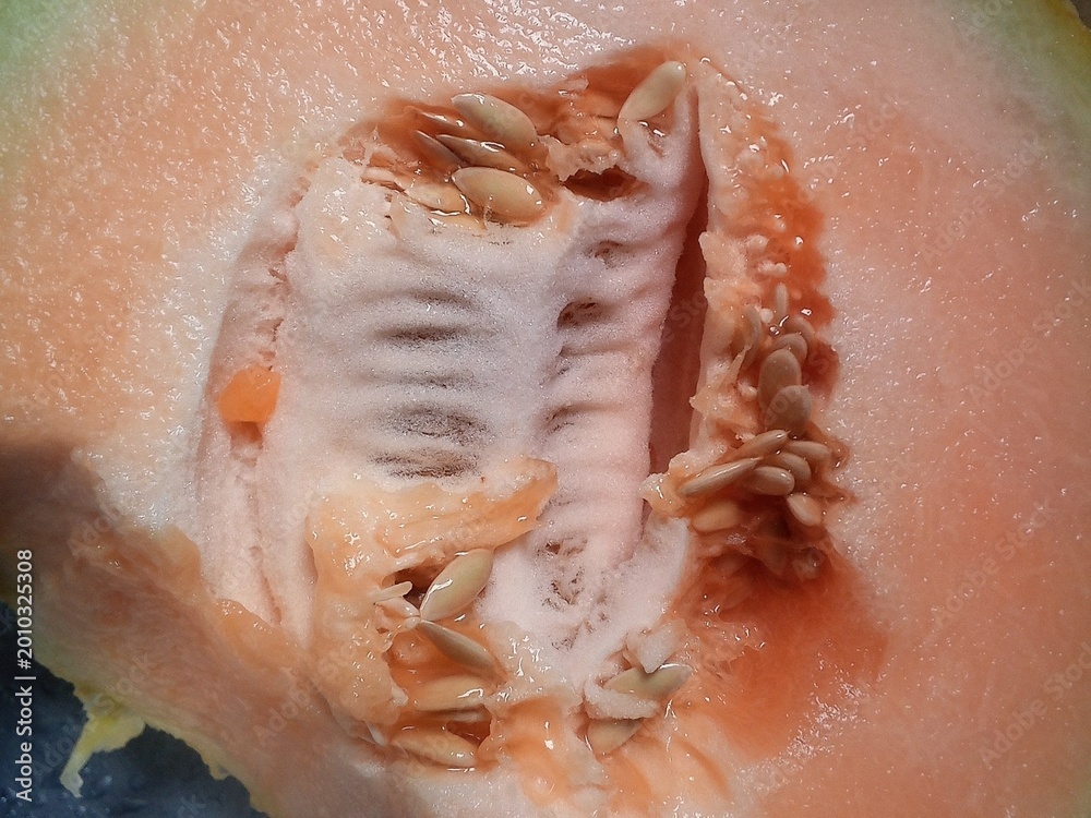 Fototapeta premium Cantaloupe Melon Inside Pulp and Seeds Close-Up Image