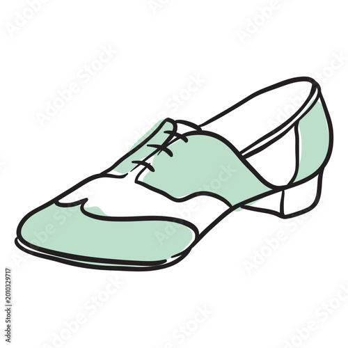 Fotografie Classic female dancing shoes