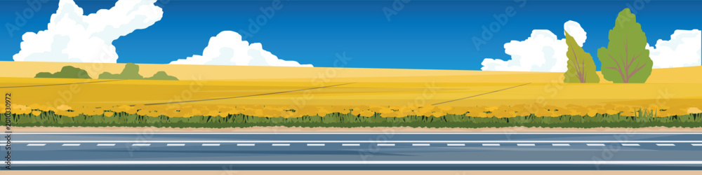 Fototapeta premium Horizontal or Landscape view of empty asphalt road. Backdrop was a field of vibrant yellow flowers covering the hillside. Contrasts with the green trees that are nestled in the middle. Under blue sky.