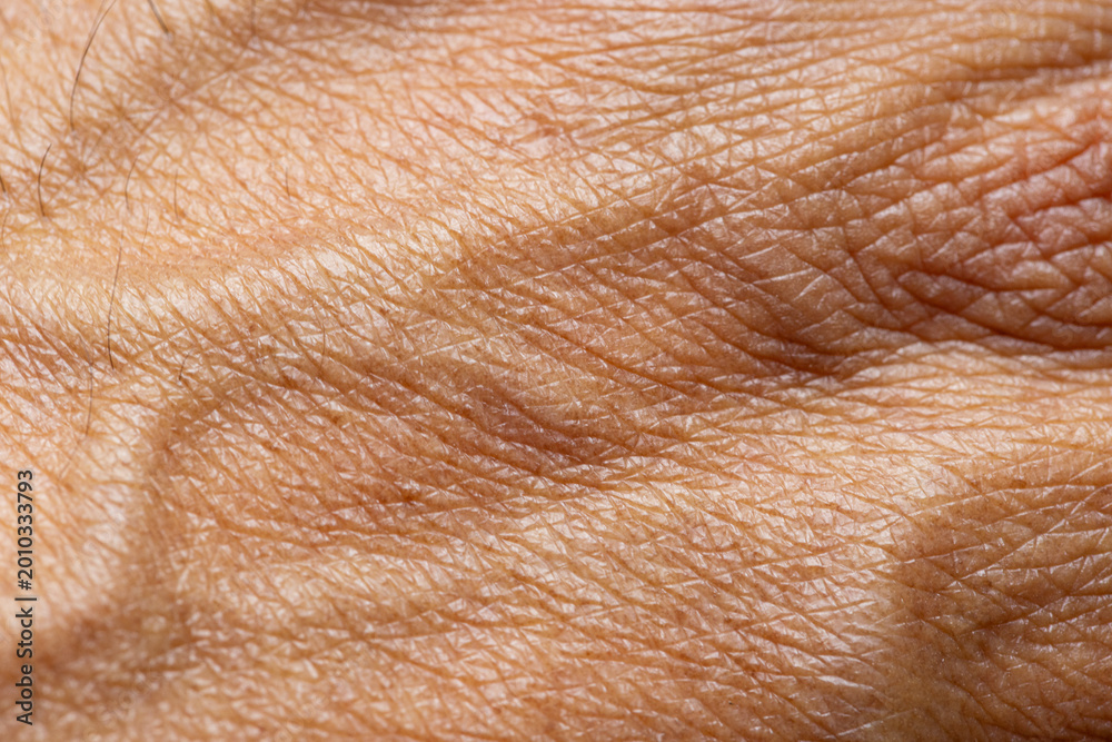 Fototapeta premium Extreme Close-up of Human Skin Texture with Fine Lines and Wrinkles,Macro,A detailed macro shot capturing the intricate texture, pores, and natural aging patterns of human skin on the hand.