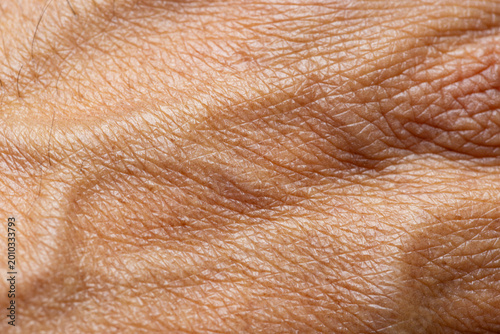 Fotografia Extreme Close-up of Human Skin Texture with Fine Lines and Wrinkles,Macro,A detailed macro shot capturing the intricate texture, pores, and natural aging patterns of human skin on the hand