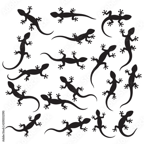 Photos Lizard silhouette with many options, Gecko crawling climbing, Reptile lover