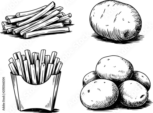 Hand-drawn black and white of potatoes and french fries white background, food