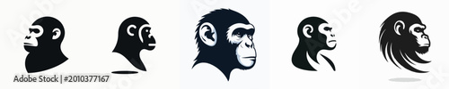 Photography Apes Silhouette Vector Illustration