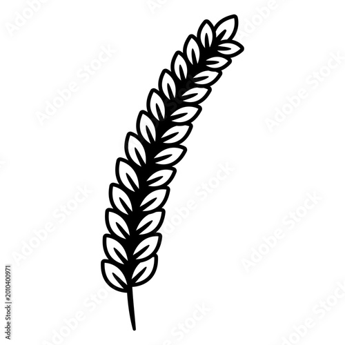 Fotografía Elegant botanical illustration of a wheat sheaf