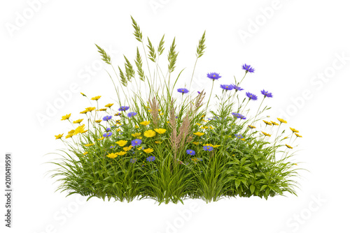 Tableau sur toile Wildflower meadow arrangement with yellow and blue flowers green grass and png i