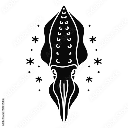 Photography Squid in the ocean