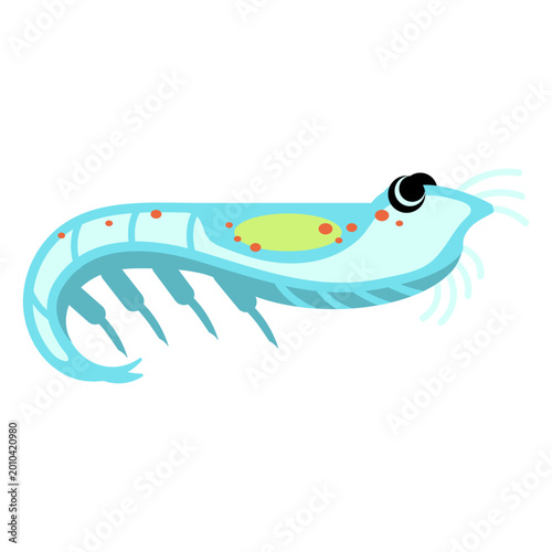 Quadro su tela Bioluminescent crustacean