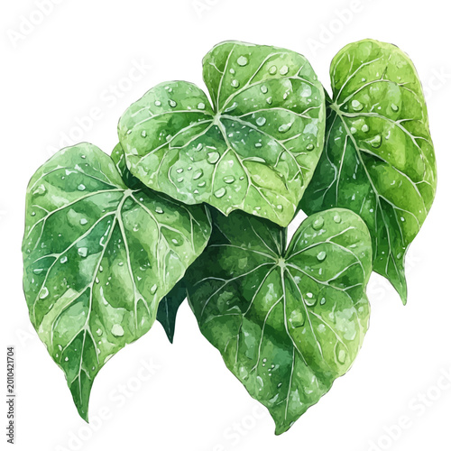 Fotografía Dewy Green Spring Leaves, colorful watercolor painting with bold outlines, isolated on a white background