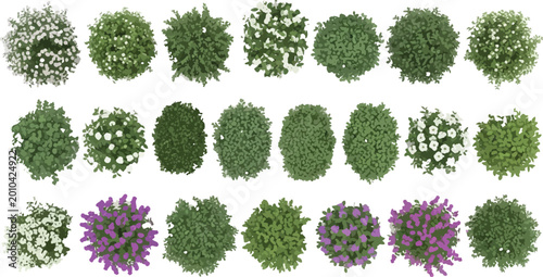 Set of top view garden bushes and flowering shrubs for architectural landscape design and site planning vector