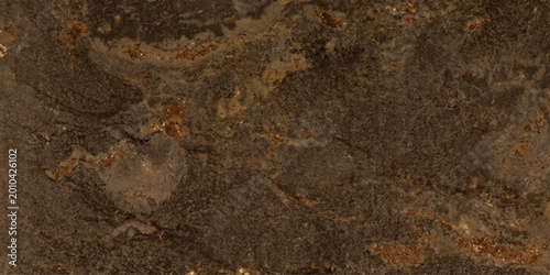 Quadro em tela Abstract macro of a rough brown old wood bark texture and dry earth surface patt